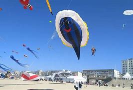 Image result for Inflatable Kite Cat