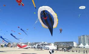 Image result for Animal Inflatable Kite