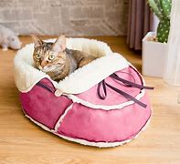 Image result for Cute Cat Crown Bed