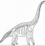 Image result for Dinosaur Skeleton Printable