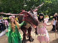 Image result for Dragon Costume Adult