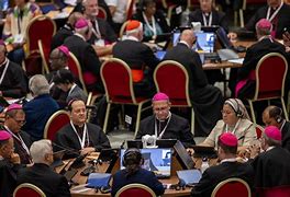 Image result for Synod Outfit