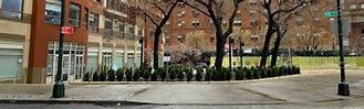 Image result for PS 75 Brooklyn