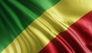 Image result for Congo National Flag