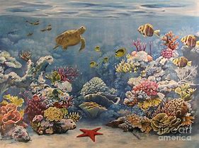 Image result for Coral Reef Concept Art