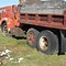 Image result for IH 1890 Dump Truck