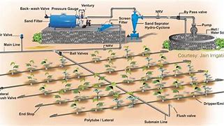 Image result for Drip Irrigation System Installation