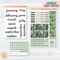 Image result for Orange Umbrella and Hobonichi Weeks