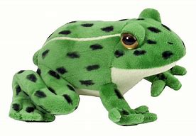 Image result for Mini so Frog Plushie