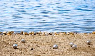 Image result for Bocce Ball for the Beach