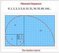 Image result for Golden Spiral Fibonacci Sequence