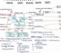 Image result for Flow Chart of Brachial Plexus