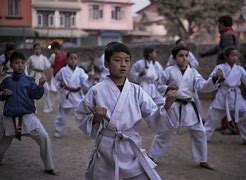 Image result for China Karate