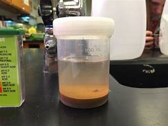 Image result for Lab Sink Soil Screen