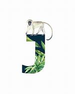 Image result for Letter J Is for Jungle