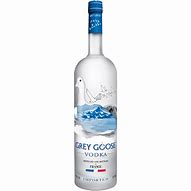 Image result for Grey Goose Bird