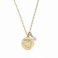 Image result for Capricorn Necklace