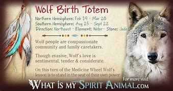 Image result for Native American Trickster Spirit