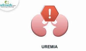 Image result for Uremic Anemia