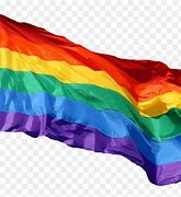 Image result for Rainbow Flag No Background