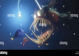 Image result for Angler Fish Nemo