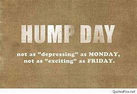 Image result for Happy Hump Day Office