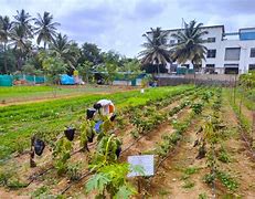 Image result for Organic Farming Pesticides