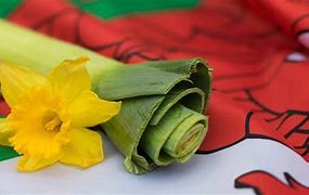 Image result for Welsh Leek