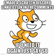 Image result for Y U No Meme Scratch Cat