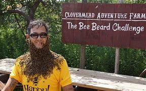 Image result for Luie Beard