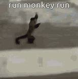 Image result for Animated Monkey Running