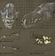 Image result for Wolf Teeth Drawing