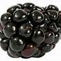 Image result for Free Clip Art Blackberries