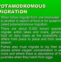 Image result for Migration of Fishes