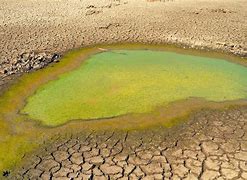 Image result for Groundwater