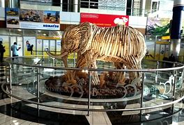 Image result for Gaborone Botswana Airport