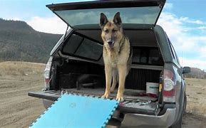 Image result for Pickup Truck Dog Ramp