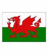 Image result for Welsh Dragon Flag