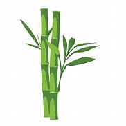 Image result for Vector Daun Bambu