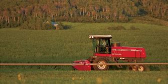 Image result for Hay Farm Equipment