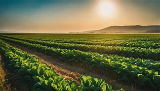 Image result for Pitcure of Farming