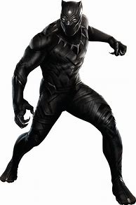 Image result for Marvel Heroes Black Panther