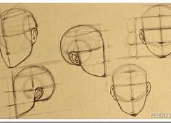 Image result for Human Head Proportions Drawing