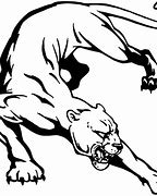 Image result for Panther Drawing