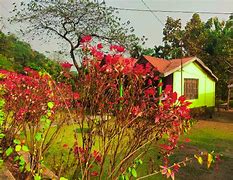 Image result for Homestay Sembalun