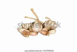 Image result for Picture of Galic On White Background