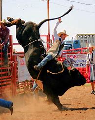 Image result for Real Rodeo Cowboys