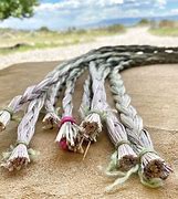 Image result for Sweetgrass Plant Care