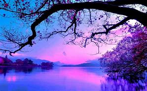 Image result for Cute Purple Desktop Wallpaper