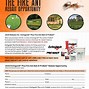 Image result for Ant Medication